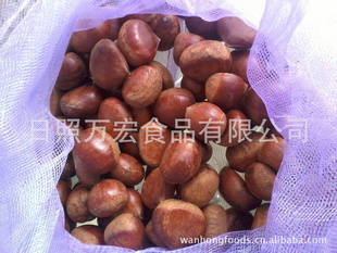 ɽʴ30-4040-5050-60ձʰڰ
