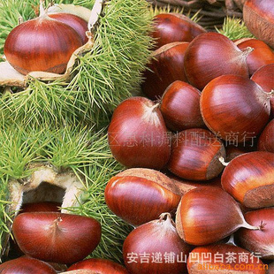 زʰ
