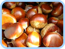 ֱİ