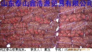 ˾갲մ۳ڼ