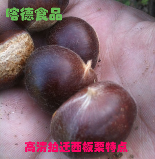 ۸ݣƷڣǨֱ