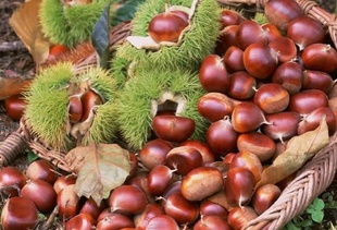 ũԲڸм
