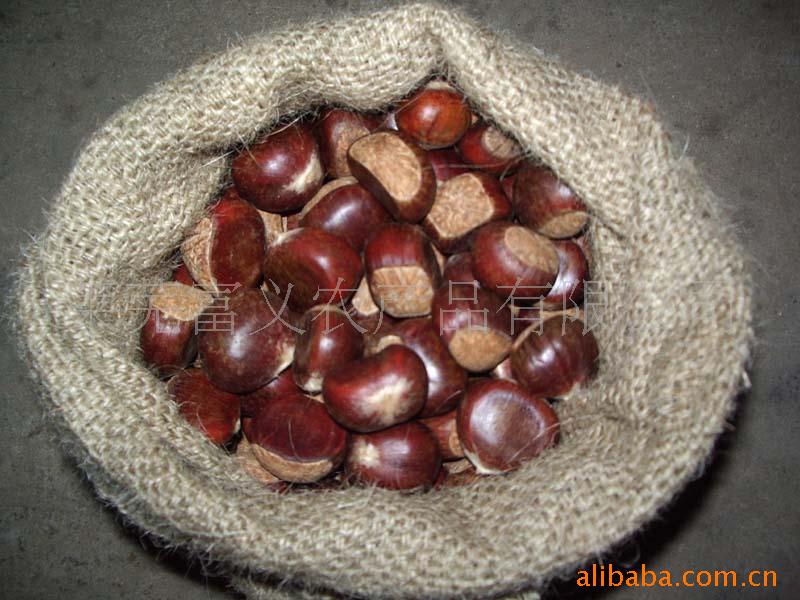 CHESTNUT