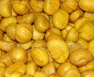 ٶʰӹ