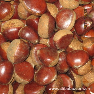 ش40-50ڼʰŷޱ׼