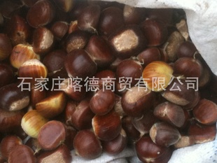 ṩǨڵȼ۸񹫵ӭǢ̸