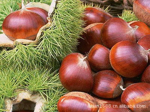زСʳƷ