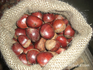 ڶڼ40-50/KG