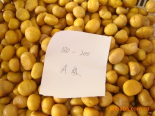 ׯ˳ڰ