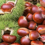ձʰ׹ӹȫ