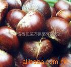 40-60,40-50ڼ