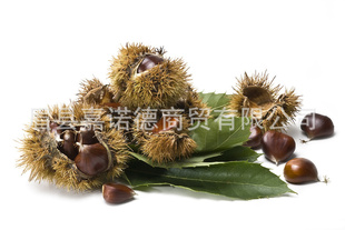 ë1Ӫḻ