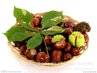 ʳƷȫ
