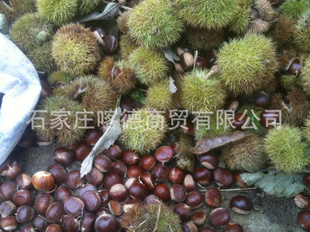 ṩǨṩڣ۸ֹڼ
