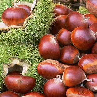 ڼ2011°