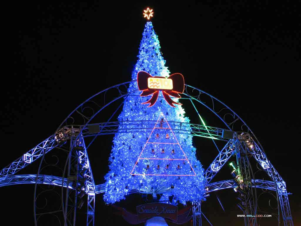 2012ʥڸʥʥƷ