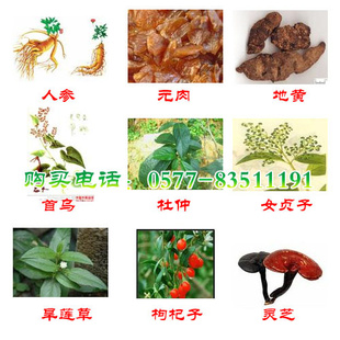 防脱发、掉头发,脂溢性脱发,染发,斑脱、