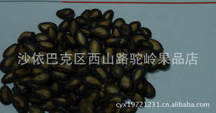 ½ڴѺڹ