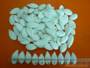 ѩ׹10.5MM