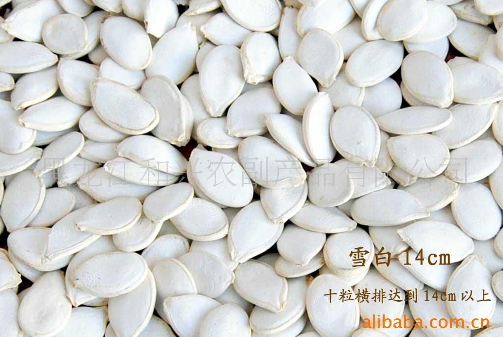 ѩ׹14cm