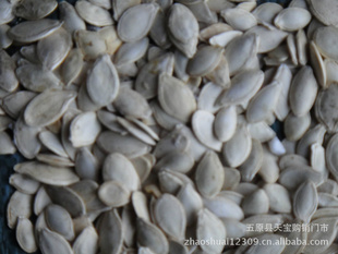 ɹϹinnermongoliapumpkinseed