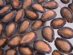 ˾ڹӣ۸ݣϳˣӭǢ̸