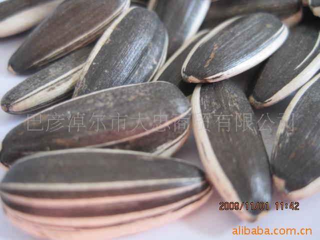出口级葵花籽22/64、24/64