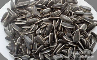 ɹſ6009sunflowerseeds
