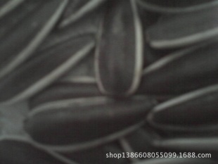 ԭؿѲ20133701
