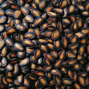 ڽóڹӹֱزŹ