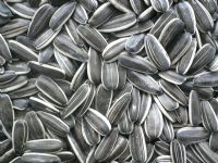 5009