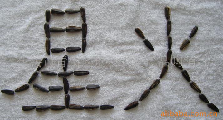 ڼʳ