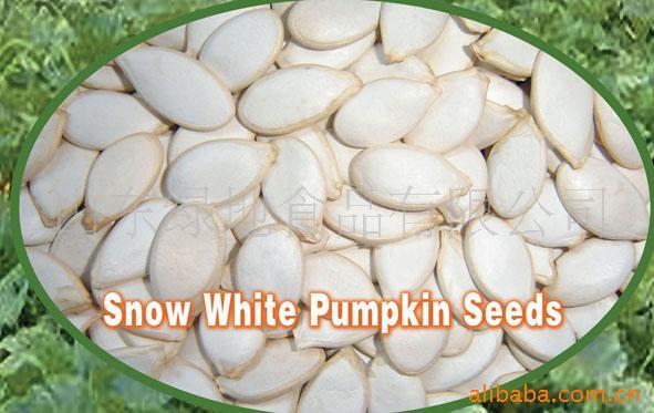 ׹Snowpumkinseeds