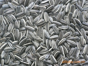 ڼѡӣ5009