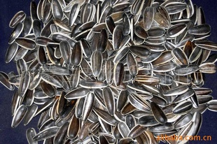 316