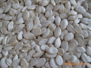 ֱ11cm/12cm/13cm׹