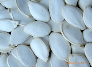 ڼ׹