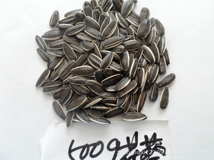 5009sunflowerseeds