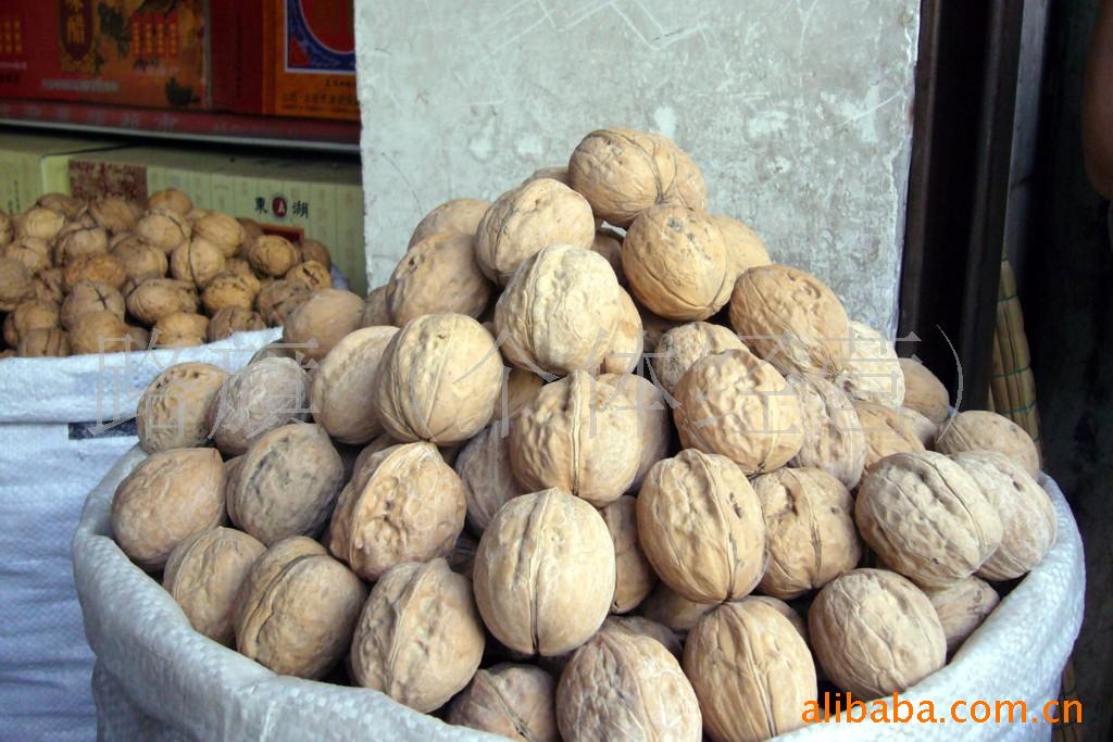Ưϴڼ5000g