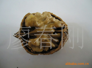 ѡڸкõ