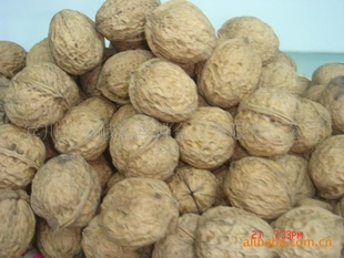 ںɢֽƤҹ103Ǻҹ