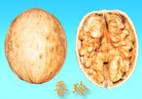 ҺƷ