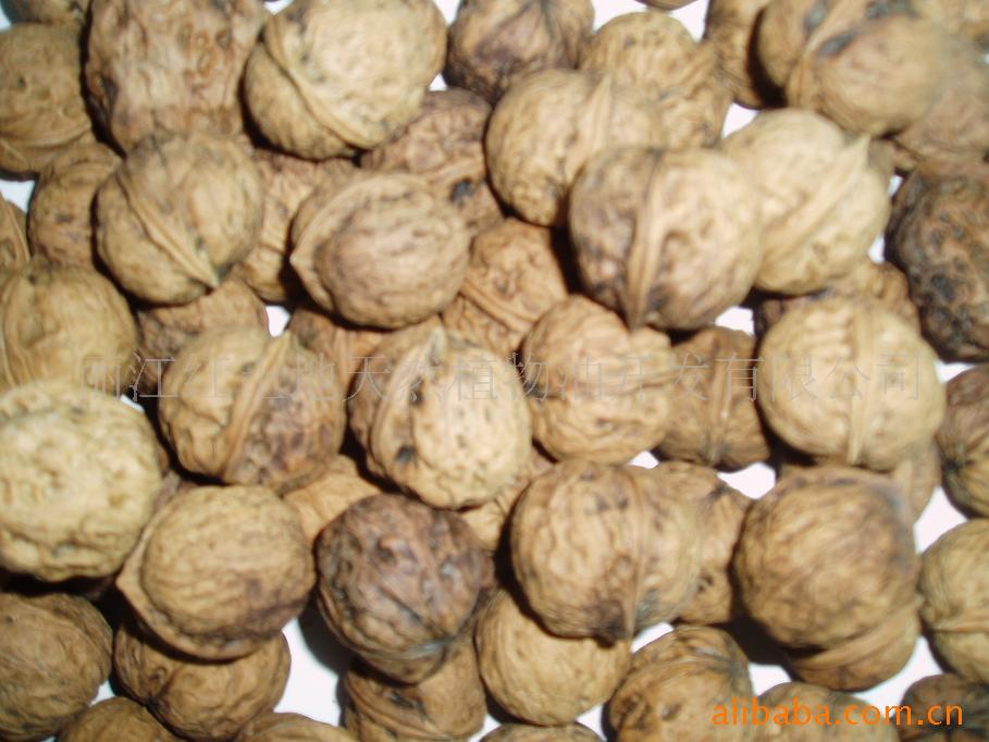 ڼݺ