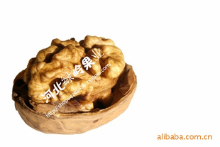 ζ뱡ƤлĿĺ