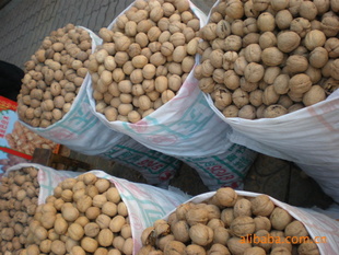 ֽƤ185޸ɺ2011½ز