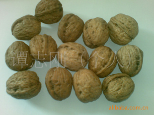 好消息,我处现有新的美国核桃出售,欢迎朋友来电咨询,订购!