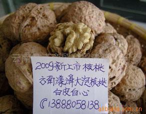 娴ݺңƤģ