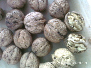 زش2012ϴҹ8³