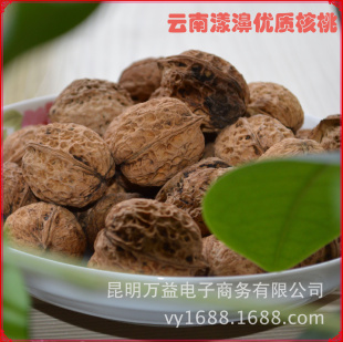 2013娺Ժ֮娵ֽƤ103ֽƤ