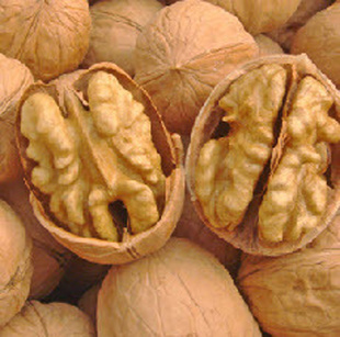 2013ʰձƤҳͼ۴